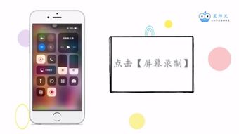 苹果手机录屏功能，苹果手机录屏功能怎么设置