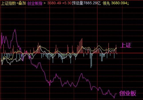 伟伟到财盘中直播这么看不到了