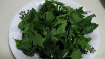 菊花菜怎么做好吃，菊花菜怎么做好吃又简单