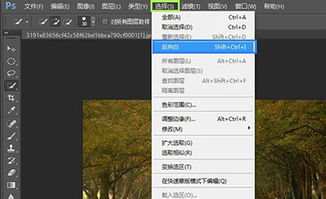 反选快捷键，反选快捷键excel