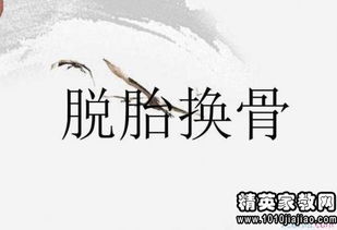 思想打一成语