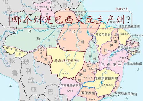 巴西在哪个洲，巴西在哪个洲地图