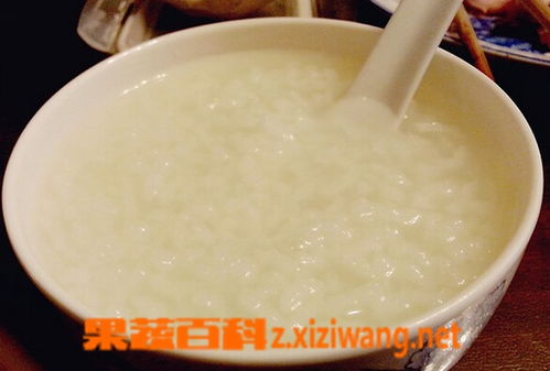 白粥怎么煮，白粥怎么煮的粘稠又烂