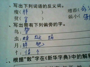忄字旁的字，忄字旁的字有哪些