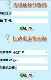交管网，交管网综合服务管理平台