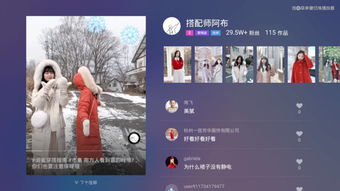 抖音电视版叫什么名字