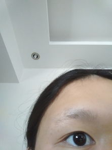 拍照识别眼型，拍照识别眼型在线