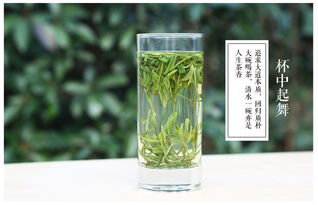 黄山毛峰是绿茶吗