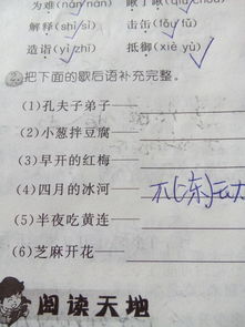 把句子补充完整，把句子补充完整二年级上册