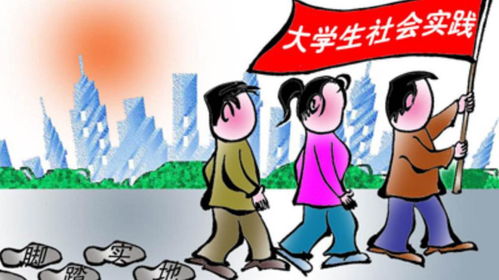 社会实践主要内容