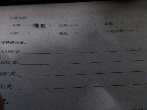 马马虎虎的反义词是什么，马马虎虎的反义词是什么标准答案