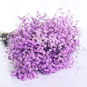 满天星的花语是什么意思，红色满天星花语