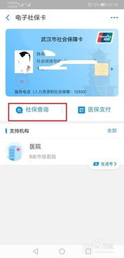 12333新农合网上查询，12333新农合网上查询报销进度