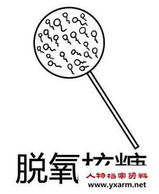 脱氧核糖核酸是什么梗，脱氧核糖核苷酸是什么梗