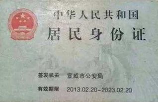 身份类别怎么填