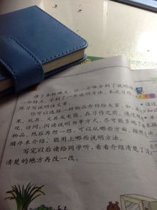 说明文的作文400字