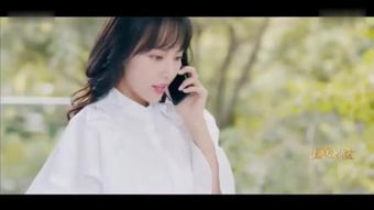 《重新爱》这首歌的歌词意思,最好解释的详细一点,清楚一点