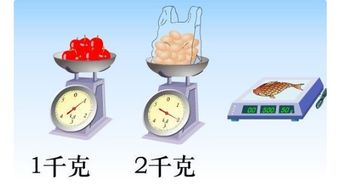 20千克是多少?