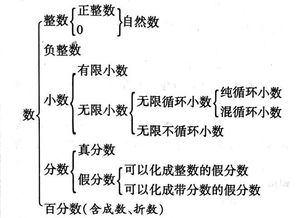 整数是什么意思