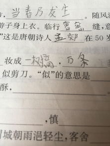似的意思，似的意思和含义是什么