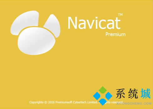 怎么找到自己已取消的激活秘钥navicat