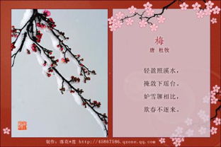 关于梅花的古诗有哪些，关于梅花的古诗有哪些咏梅