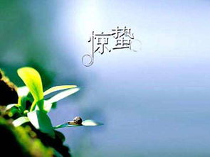 今日惊蛰是几点几分?