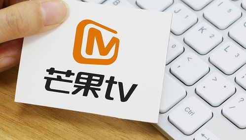 连续包季是什么意思，百度网盘超级会员连续包季是什么意思