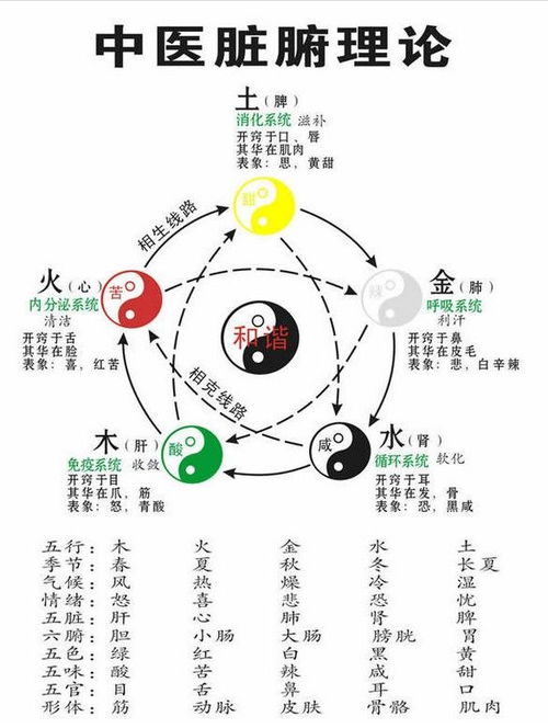 阴阳五行学说，阴阳五行学说创始人