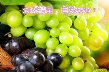 水葡萄图片