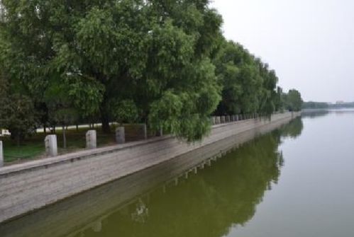 堤岸的拼音是什么，堤岸的拼音是什么样的