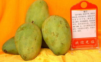 芒果种类，芒果种类介绍及图片大全