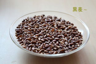 黑麦面粉的介绍