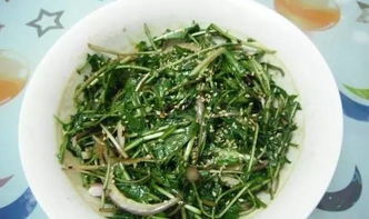 蒲公英做菜有那些吃法，蒲公英做菜有那些吃法吗