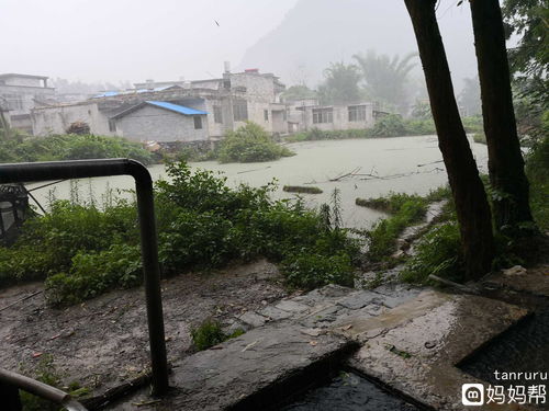 洗菜池，洗菜池下水道堵塞用什么疏通快