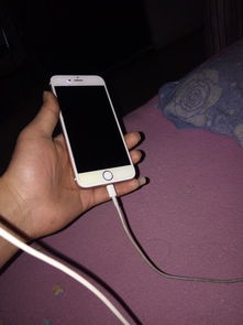 手机充不进电怎么解决，手机充不进电怎么办别慌有妙招
