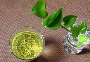 洞庭碧螺春茶，洞庭碧螺春茶叶介绍