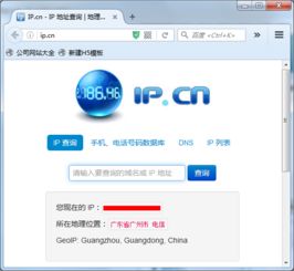 站长工具可以查询IP地址吗?