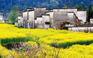 婺源在哪里属于哪个省，江西婺源县属于哪个市