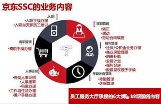 hrssc是什么意思，人力资源hrssc是什么意思