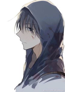 求 给力的大神,给几张 《盗墓笔记》里的张起灵的 动漫图片。