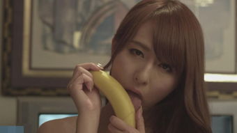 一路向西无删减