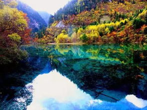 去九寨沟多少钱