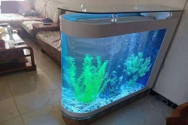 金鱼缸的水浑浊怎么办，金鱼缸水怎么才能保持清澈
