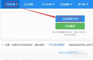 pdf文件翻译成中文版，pdf文件翻译成中文版免费