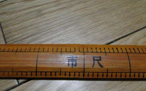 3尺1是多少厘米，腰围3尺1是多少厘米
