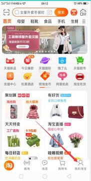 旺旺号是什么在哪里看，手机淘宝旺旺号是什么在哪里看