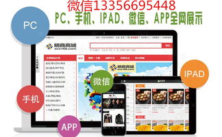 北京软件定制，北京软件定制服务商