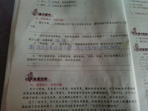 形容菊花的美句，形容菊花的美句多字