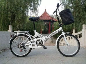 天津自行车，天津自行车批发市场